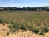  1798712-574annonce120240226Lq7GW.jpeg Maisons Open