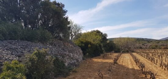 Terrain à bâtir à Caves, Occitanie