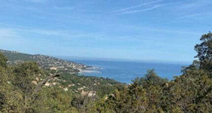 Sainte-Maxime Terrain à bâtir - 2024137-11102annonce1202412100Z5cB.jpeg Maisons Open
