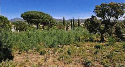 Sainte-Maxime Terrain à bâtir - 2019440-11102annonce120241205Uz7id.jpeg Maisons Open