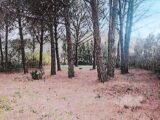 2021793-11102annonce120241206r477a.jpeg Maisons Open