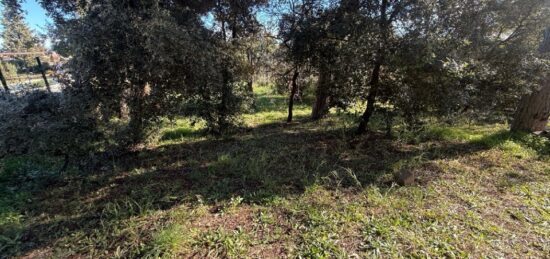Terrain à bâtir à Puget-sur-Argens, Provence-Alpes-Côte d'Azur
