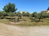  2068788-695annonce120250203EFviv.jpeg Maisons Open