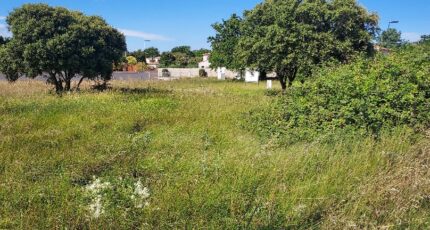 Saze Terrain à bâtir - 2082830-695annonce1202502177oOQU.jpeg Maisons Open