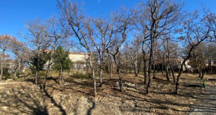 Forcalquier Terrain à bâtir - 2074673-2970annonce120250208qye7V.jpeg Maisons Open