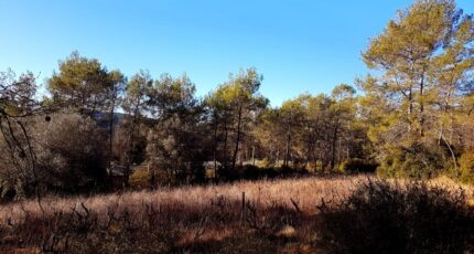 Bagnols-en-Forêt Terrain à bâtir - 2094897-3701annonce320250303TcBqz.jpeg Maisons Open