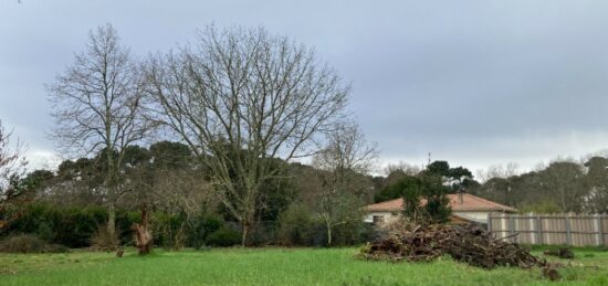Terrain à bâtir à Canéjan, Nouvelle-Aquitaine