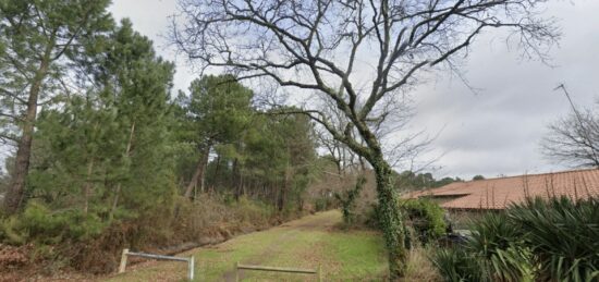 Terrain à bâtir à Andernos-les-Bains, Nouvelle-Aquitaine