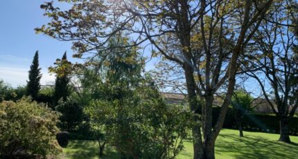Saint-Médard-en-Jalles Terrain à bâtir - 2094437-9575annonce220241130RcHMQ.jpeg Maisons Open
