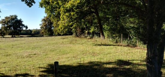 Terrain à bâtir à Portets, Nouvelle-Aquitaine