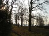  2101704-4353annonce120250310rXnGp.jpeg Maisons Open