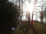  2101704-4353annonce220250310KFvR9.jpeg Maisons Open