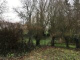  2101808-4353annonce220250310wHur1.jpeg Maisons Open