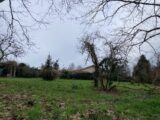  2089063-1088annonce120250224SANLe.jpeg Maisons Open