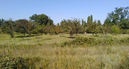 Vaison-la-Romaine Terrain à bâtir - 2105586-695annonce120250313uFRkw.jpeg Maisons Open