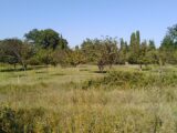  2105601-695annonce120250313tnSZe.jpeg Maisons Open