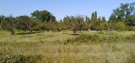 Terrain à bâtir à Cabrières-d'Avignon, Provence-Alpes-Côte d'Azur