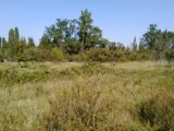  2105601-695annonce2202503131NPW9.jpeg Maisons Open