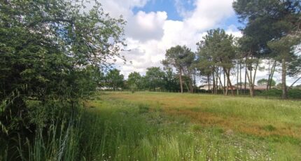 Saint-Aubin-de-Médoc Terrain à bâtir - 2108057-9575annonce120241121MAvTI.jpeg Maisons Open
