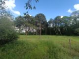  2108057-9575annonce2202411214dGpq.jpeg Maisons Open