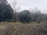  2118173-5100annonce2202503268TMli.jpeg Maisons Open