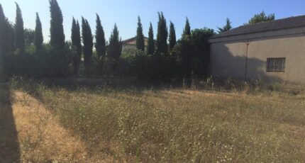 Pertuis Terrain à bâtir - 2118954-695annonce120250327nIJPZ.jpeg Maisons Open
