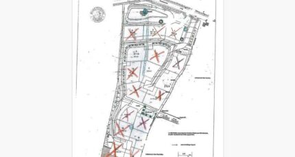 Oisseau Terrain à bâtir - 2084680-3855annonce120250219PaW8B.jpeg Maisons Open