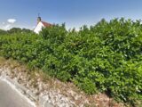  2084922-10545annonce2202502198xXRg.jpeg Maisons Open