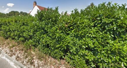 Saulx-les-Chartreux Terrain à bâtir - 2084922-10545annonce2202502198xXRg.jpeg Maisons Open