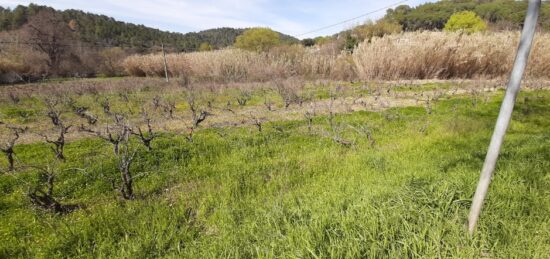 Terrain à bâtir à , Var