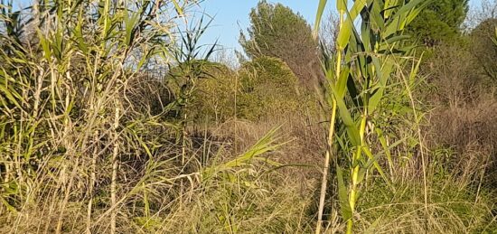 Terrain à bâtir à Ollioules, Provence-Alpes-Côte d'Azur