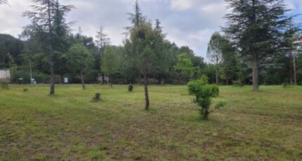 Le Teil Terrain à bâtir - 2097740-812annonce320241112u5JDE.jpeg Maisons Open