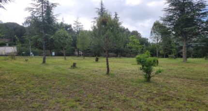 Le Teil Terrain à bâtir - 2097740-812annonce420241112zx1SP.jpeg Maisons Open