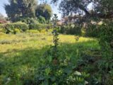  2127118-11157annonce120250407EugrG.jpeg Maisons Open