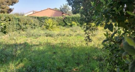 Fréjus Terrain à bâtir - 2127118-11157annonce220250407Wicff.jpeg Maisons Open