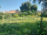  2127118-11157annonce320250407SfCQW.jpeg Maisons Open