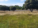  2127471-695annonce120250408k7R03.jpeg Maisons Open