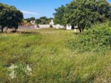  2127471-695annonce220250408pEr1H.jpeg Maisons Open