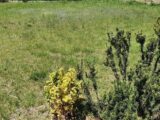  2128604-4671annonce120250409huLIB.jpeg Maisons Open