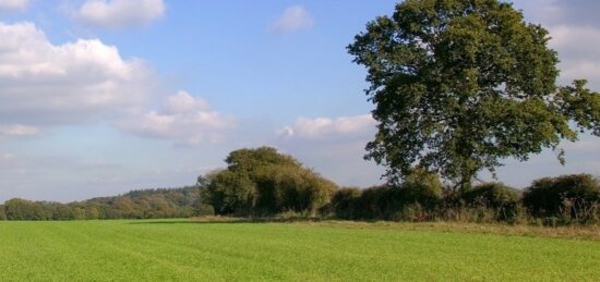 Terrain à bâtir à Saint-Léger-en-Yvelines, Île-de-France