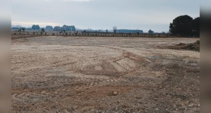 Marsillargues Terrain à bâtir - 2129884-3243annonce1202504110Fegx.jpeg Maisons Open