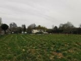  2114395-5362annonce420250321ongSp.jpeg Maisons Open