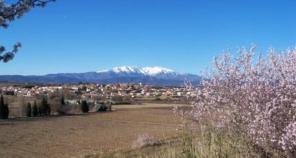 Ponteilla Terrain à bâtir - 2132877-4671annonce1202504150iBRS.jpeg Maisons Open