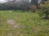  2105305-11191annonce120250313AxAAW.jpeg Maisons Open