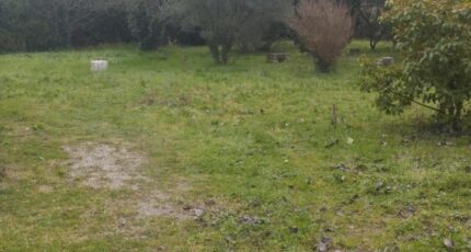 Alleins Terrain à bâtir - 2105305-11191annonce120250313AxAAW.jpeg Maisons Open