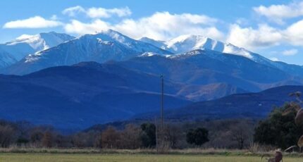 Laroque-des-Albères Terrain à bâtir - 2139390-4671annonce120250424qZ3nK.jpeg Maisons Open
