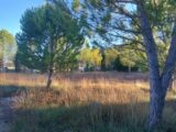  2145100-5100annonce1202504304olhA.jpeg Maisons Open