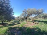  2145155-5100annonce220250430TuizL.jpeg Maisons Open