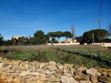  2104972-3243annonce220241013wTeLh.jpeg Maisons Open
