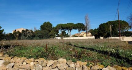 Florensac Terrain à bâtir - 2104972-3243annonce220241013wTeLh.jpeg Maisons Open